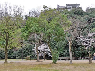 姫路城送水口