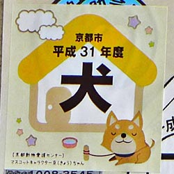 京都市犬シール平成31年度