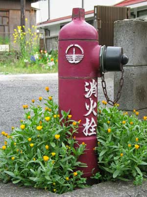 花に慕われる地上式消火栓