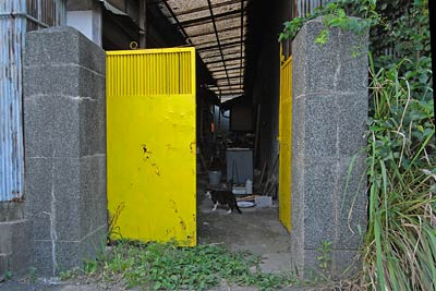 黄色い扉は猫の家