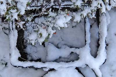 散水栓、1月（雪）